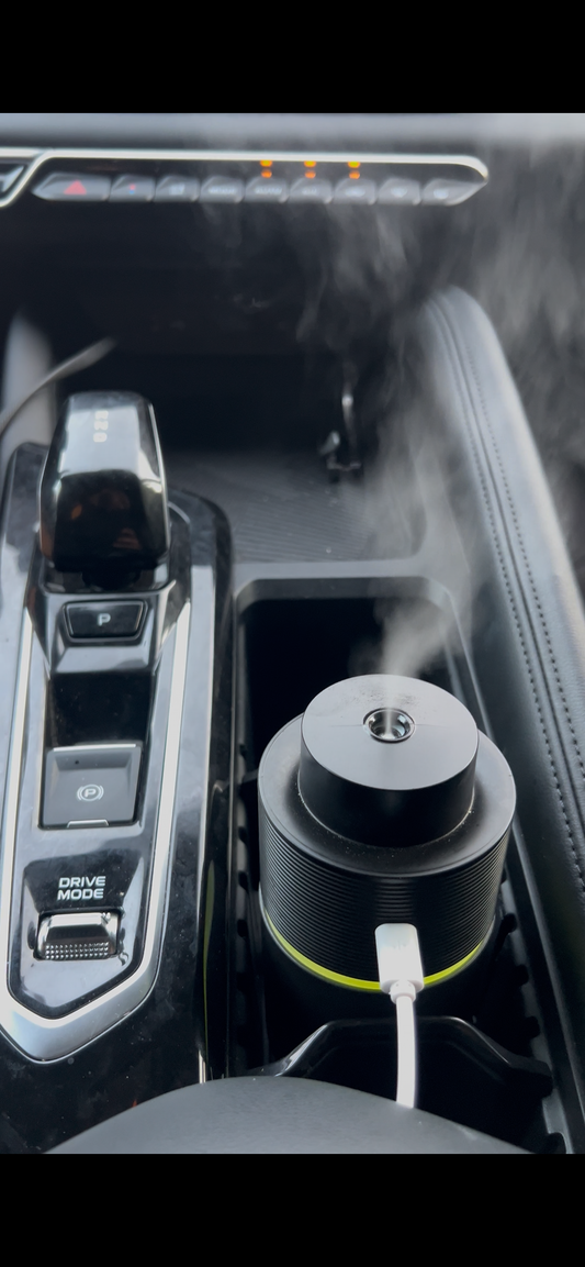Scent diffuser for car