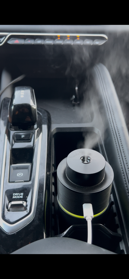 Scent diffuser for car